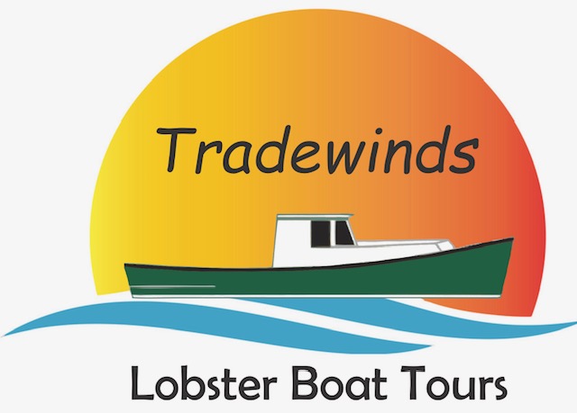 lobster fishing excursions